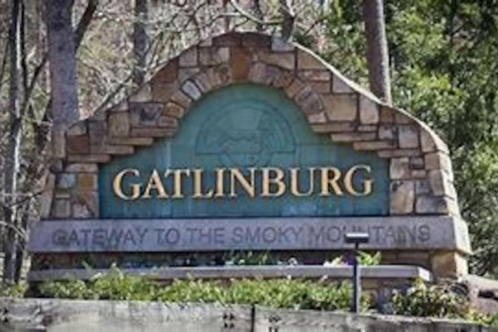 1 Mi To Dollywood Mins To All Attractions & Gsmnp Севьервилл Экстерьер фото