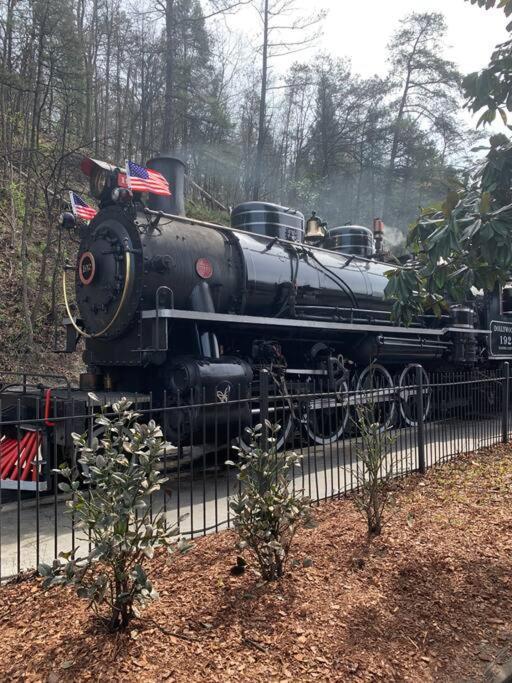 1 Mi To Dollywood Mins To All Attractions & Gsmnp Севьервилл Экстерьер фото